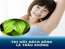 tri-hoi-nach-bang-la-trau-khong