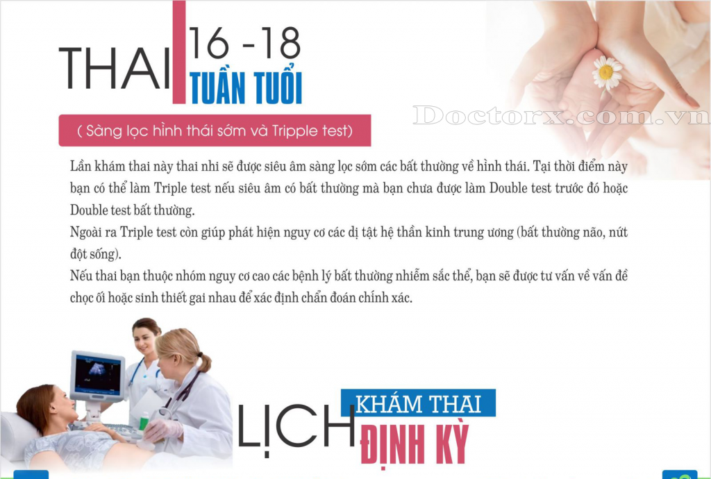 moc-quan-trong-nen-di-kham-thai3