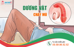 dương vật chảy mủ