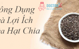 tac-dung-cua-hat-chia