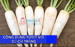 cu-cai-duong-tot-cho-suc-khoe