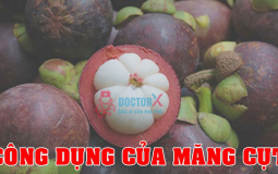 tac-dung-cua-mang-cut