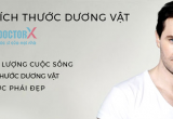 tang-kich-thuoc-duong-vat2
