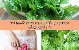 bai-thuoc-nam-chua-viem-nhiem-phu-khoa-bang-ngai-cuu